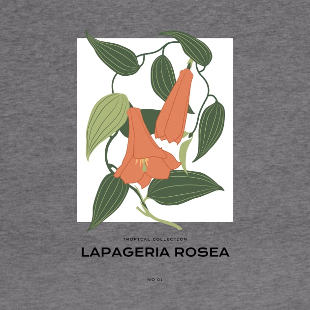 Lapageria Rosea by JunkyDotCom